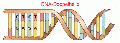 Helix1.gif