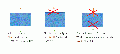33.GIF