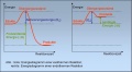Vorschaubild der Version vom 18. Januar 2013, 22:00 Uhr